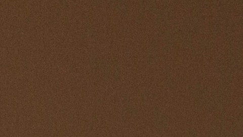 Exgobernadora de Puerto Rico, Wanda Vázquez