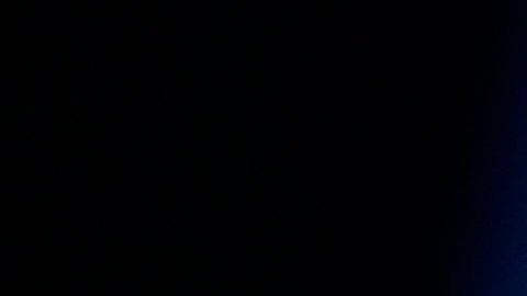 Exgobernadora de Puerto Rico, Wanda Vázquez