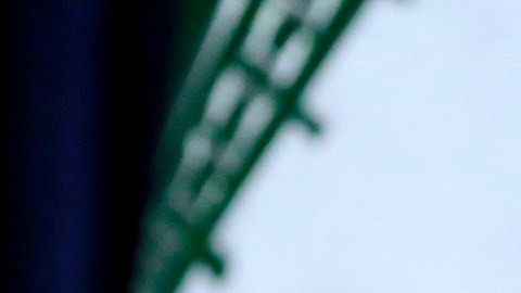 Iran America Protests