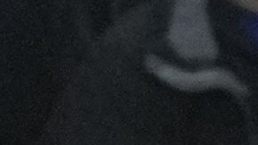 Michael Carrick es el elegido para dirigir al Manchester United hasta final de la temporada