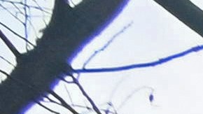 Los funcionarios hicieron un llamado a los habitantes a evitar la zona si es posible y cerrar sus ventanas si viven cerca.