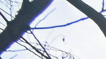 Los funcionarios hicieron un llamado a los habitantes a evitar la zona si es posible y cerrar sus ventanas si viven cerca.