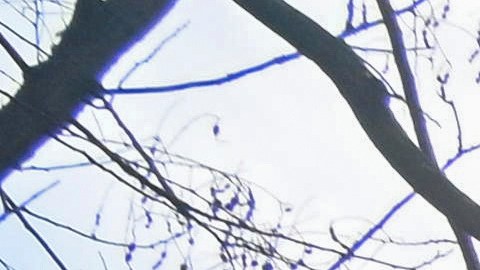 Los funcionarios hicieron un llamado a los habitantes a evitar la zona si es posible y cerrar sus ventanas si viven cerca.