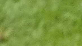 Belgium players pose for the team picture before a round of sixteen match between France and Belgium at the Euro 2024 soccer tournament in Duesseldorf, Germany, Monday, July 1, 2024. (AP Photo/Andreea Alexandru)