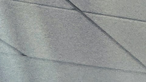 En total, se han producido 50 arrestos.