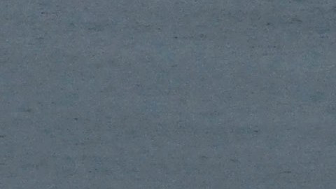 La operación fue llevada a cabo durante la madrugada.