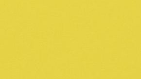 Dentro de Venezuela, Flores era vista por críticos y analistas como el verdadero poder detrás del trono.