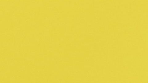 Dentro de Venezuela, Flores era vista por críticos y analistas como el verdadero poder detrás del trono.