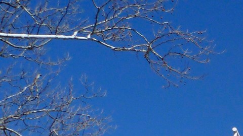 El Departamento de Estado emitió una nueva regla contra inmigrantes legales.