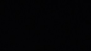 Un vocero del DHS expresó a la sala de redacción en ese entonces que ICE revisa "cada incidente de uso de la fuerza y ​​cualquier descarga de un arma de fuego de ICE".