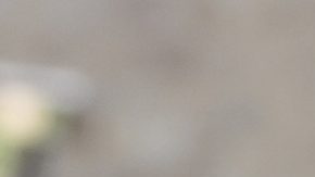 Kristi Noem expresó que la retórica de Walz y Frey "perpetuó" la violencia dirigida contra los federales.