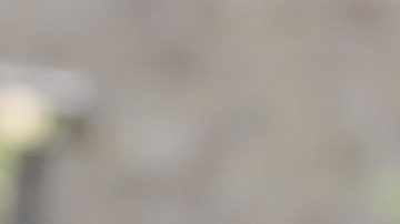 Kristi Noem expresó que la retórica de Walz y Frey "perpetuó" la violencia dirigida contra los federales.