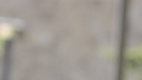 Kristi Noem expresó que la retórica de Walz y Frey "perpetuó" la violencia dirigida contra los federales.