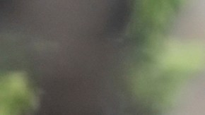 El gobernador de Minnesota, Tim Walz (derecha), camina con el alcalde de Minneapolis, Jacob Frey.