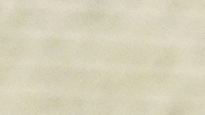 Pese a su afirmación, Miller calificó a Pretti de "asesino" y "terrorista" días antes.