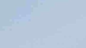 Los programas representan cerca de $3,100 millones de dólares en dinero federal para cientos de miles de familias de Nueva York cada año.