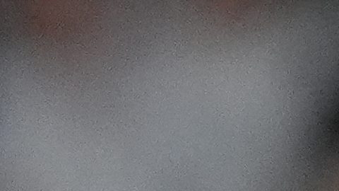 New York Yankees' Cody Bellinger during the fourth inning of a baseball game against the Chicago White Sox Wednesday, Sept. 24, 2025, in New York. (AP Photo/Frank Franklin II)