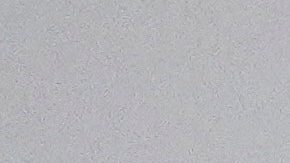 El vínculo de Milei con Trump comenzó desde antes de la asunción del estadounidense a su segundo mandato presidencial.