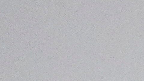 El vínculo de Milei con Trump comenzó desde antes de la asunción del estadounidense a su segundo mandato presidencial.