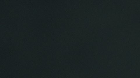 Estadounidense Alex Honnold escala el rascacielos Taipei 101 sin cuerdas de seguridad ni protecciones [Video]