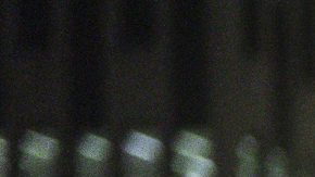 Un agente del NYPD detiene a una manifestante durante una protesta contra la represión migratoria.