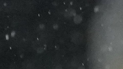 Raúl Jiménez, jugador mexicano del Fulham