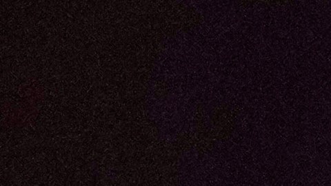 Trump alertó que "iría" por Petro.