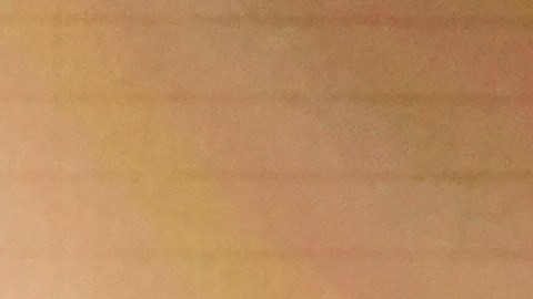 La administración mexicana enfatizó el entendimiento y autonomía.