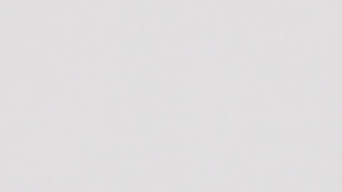 Una bandera somalí ondea junto a las banderas de Estados Unidos y Vermont frente al edificio del Distrito Escolar de Winooski, el miércoles 10 de diciembre de 2025, en Winooski, Vermont.