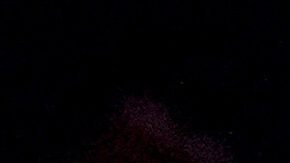 Dirigente de federación alemana de fútbol propone boicot al Mundial 2026 por culpa de Donald Trump