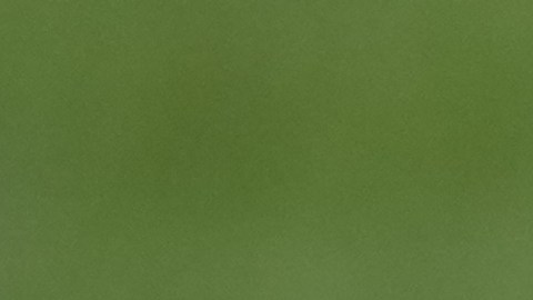 A penalty flag is seen during an NFL football game between the Philadelphia Eagles and the Las Vegas Raiders, Sunday, Dec. 14, 2025, in Philadelphia. (AP Photo/Matt Slocum)