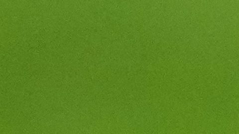 Hincha fue condenado a prisión por desfigurar el rostro de un jugador tras lanzar un asiento en Escocia