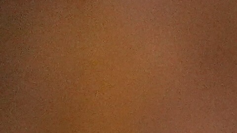 Rubio espera que el plan concluya con la transición política.