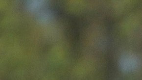 La CBP y el ICE han liderado estas deportaciones.