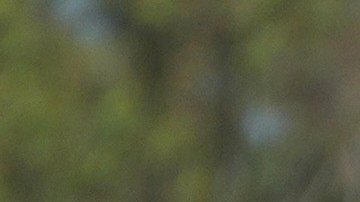 La CBP y el ICE han liderado estas deportaciones.