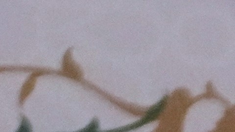 Las autoridades de Irán afirman que las fuerzas de seguridad y las agencias judiciales han desmantelado varias células terroristas armadas.