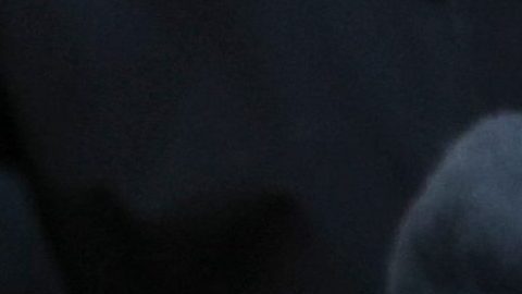 La presentación marcó la primera aparición pública de Adams desde que dejó el cargo hace menos de dos semanas.