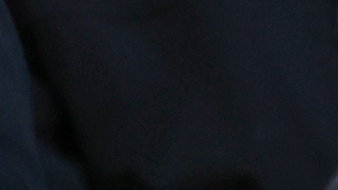 La presentación marcó la primera aparición pública de Adams desde que dejó el cargo hace menos de dos semanas.