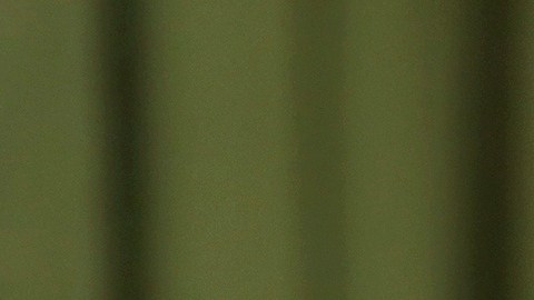 Autoridades iraníes han tachado de alborotadores y “actores de enemigos” a quienes corean consignas antigubernamentales y han ordenado mano dura en su contra.