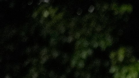 Captura de Nicolás Maduro en Venezuela