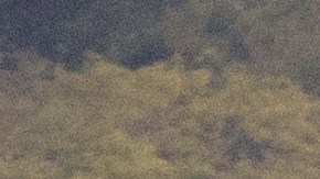 Avión militar aterriza en base naval Roosevelt Roads en Ceiba