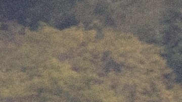 Avión militar aterriza en base naval Roosevelt Roads en Ceiba