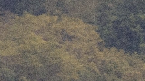 Avión militar aterriza en base naval Roosevelt Roads en Ceiba