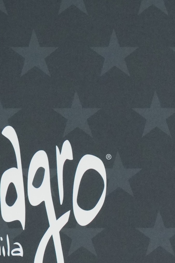 Sara Foster en la alfombra roja de los Critics Choice Awards 2026.