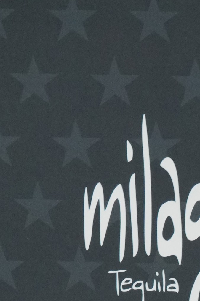 Elle Fanning en la alfombra roja de los Critics Choice Awards 2026.