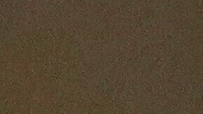 Varias ventanas resultaron rotas.