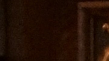 El gobernador de Minnesota, Tim Walz, ofrece una conferencia de prensa en el Capitolio estatal de Minnesota el lunes 5 de enero de 2026, en St. Paul, Minnesota.