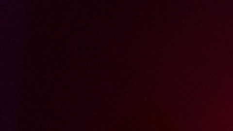 Los comicios se celebrarán el próximo 3 de noviembre.