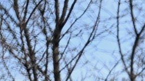 La gente protesta mientras agentes del orden acuden al lugar del tiroteo en el que participaron agentes federales, el miércoles 7 de enero de 2026, en Minneapolis.