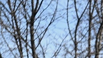 La gente protesta mientras agentes del orden acuden al lugar del tiroteo en el que participaron agentes federales, el miércoles 7 de enero de 2026, en Minneapolis.